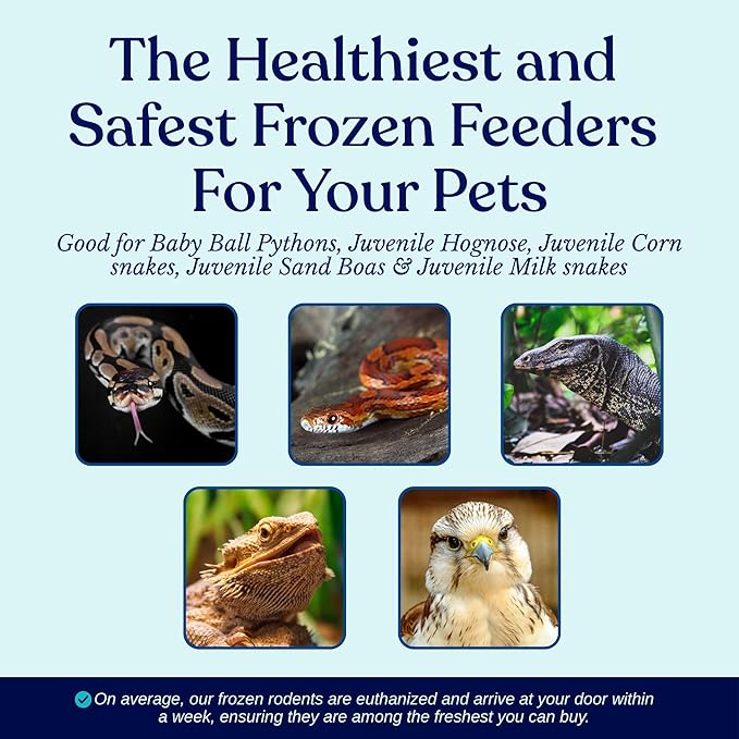MiceDirect 50 Frozen Rat Fuzzies Feeders Snake Food for Adult Corn Snakes Ball Pythons (2-2.5 in)(Pack of 50)(450 Grams Min)
