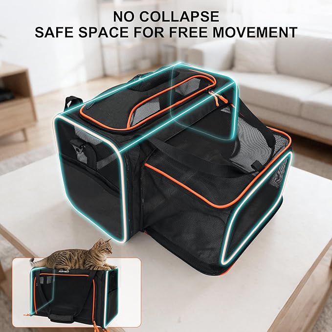 TSA Approved Expandable Cat Carrier with Top and Side, 16x11x11 Soft-Sided Pet Carrier for Small Cats and Dogs, Foldable Travel Carrier with Anti-Scratch Mesh and Safety Belt, Black