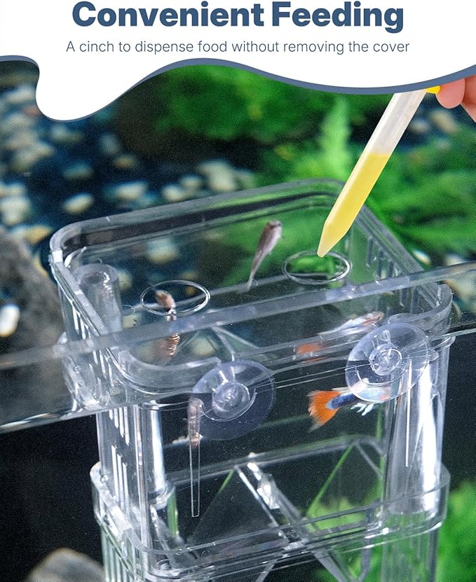 Pawfly Small Aquarium Fish Breeding Box for Fry Hatchery, Shrimp & Aggressive Fish Isolation