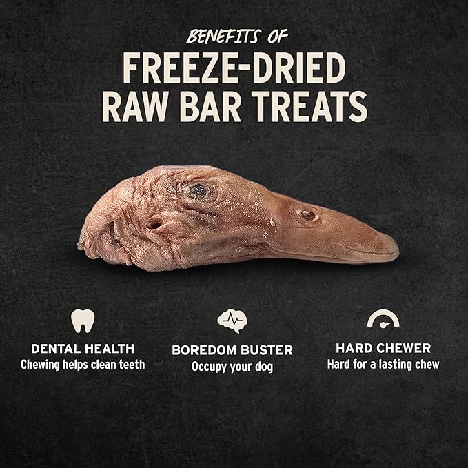 Vital Essentials Freeze-Dried Raw Duck Head Dog Treat & Long-Lasting Natural Chew, 3-Pack | Single Ingredient Dog Treat for Aggressive Chewers | Made in USA