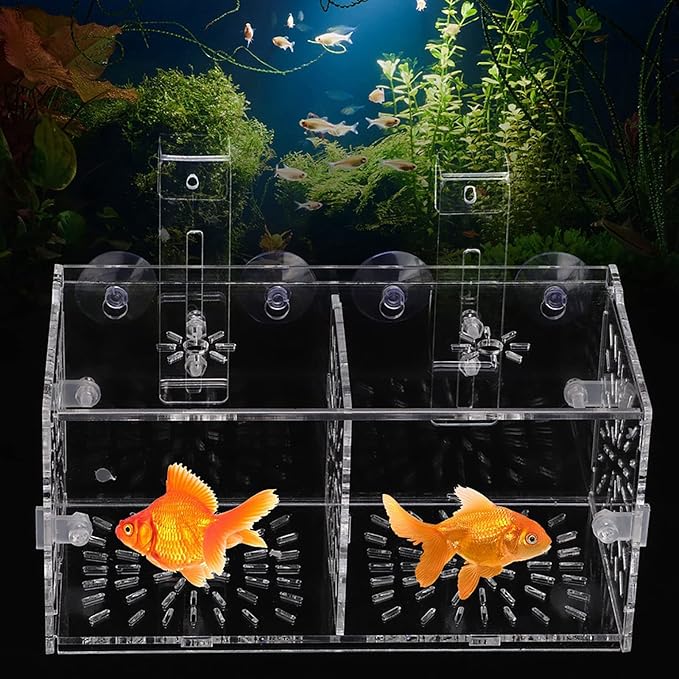 Acrylic Transparent Fish Tank, Breeding Isolation Box Aquarium Hatchery Incubator Holder with Screw Reinforcement, Convenient Use Comes with Isolation Board for Fish Breeding