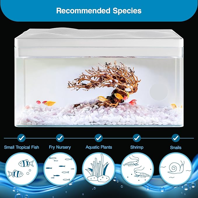 Harmony Aquatic Tank by Clairnara - Harmony Legend - iF Design Award Winning 10 Gallon All-in-One Aquarium (White Tank with Cedar Grain top, Harmony Legend)