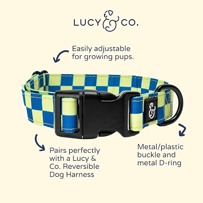 Lucy & Co. Have a Nice Day Dog Collar - Durable Lightweight Designer Collar for Pets - Adjustable Metal Safety Buckle - Lime Green Blue Checker - Medium