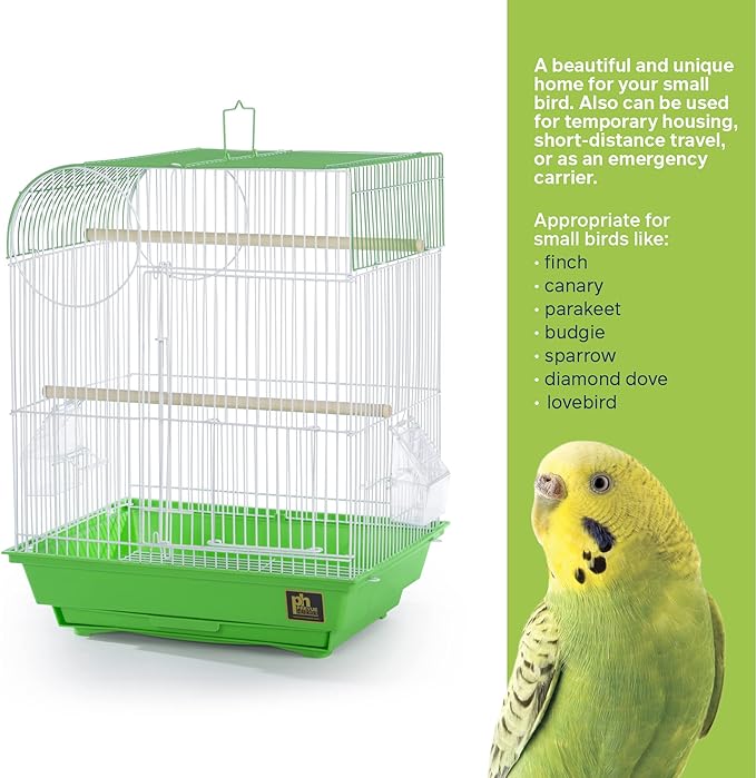 Prevue Pet Products South Beach Flat Top Bird Cage, Lime Green (SP50091),14 1/8" L x 11 1/4" W x 18 1/8" H