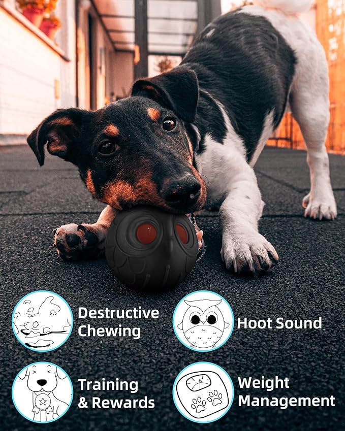 Giggle Ball for Dogs Owl Dog Toys for Aggressive Chewers Gift for Dog Natural Rubber Ball Cute Owl Hoot Medium Large Dog (Demon)