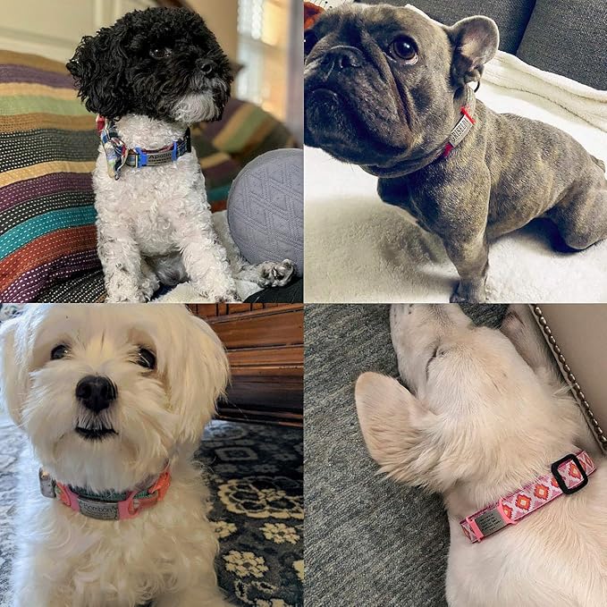 Personalized Dog & Cat ID Tags - Custom Engraved, Slide On, Silent, No Noise - Small, Medium, Large Sizes