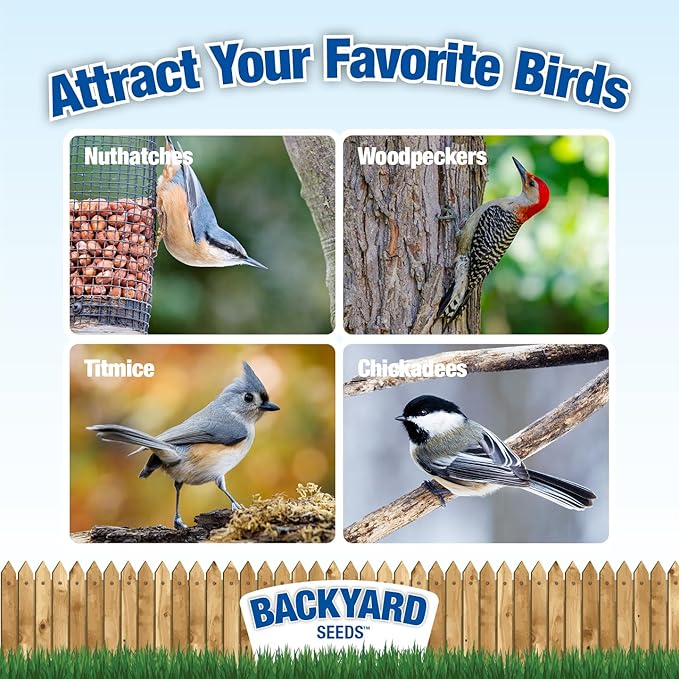 Backyard Seeds Peanut Hearts - High-Energy Wild Bird Food, 50 lbs (50 Pounds)