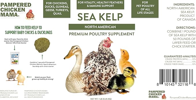 Kelp for Chickens & Duck Feed (5 Pound): Chicken Vitamins | Chicken Supplements | Vitamins for Chickens | Pampered Chicken Mama