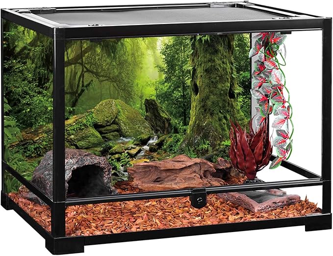 AWERT Tropical Forest Terrarium Background Stream Green Huge Tree Reptile Habitat Background Foggy Rainforest Aquarium Background 30x18 inches Polyester Background