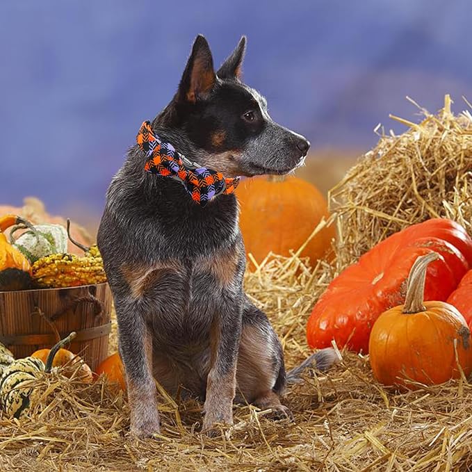 Halloween Dog Collar, Pet Collar Bow Plaid Collars Girl Boy Holiday Pet Collars Gift Bow Dog Collar Cute Soft Puppy Collar for Small Dogs