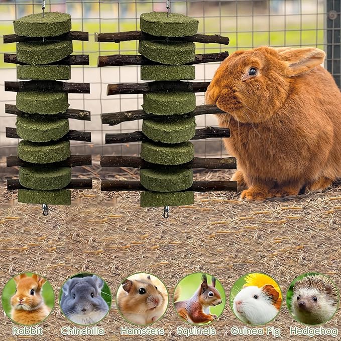 kathson 8PCS Bunny Chew Toys for Teeth Grinding, Chinchilla Treats Organic Bamboo Sticks Natural Fruitwood Branches for Rabbits Guinea Pigs Hamsters (Fruitwood Sticks+Alfalfa Cakes)