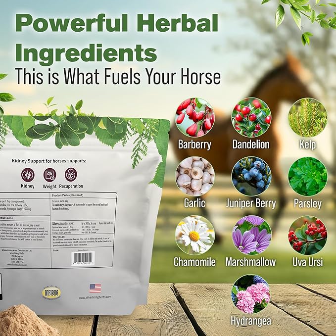 Silver Lining Herbs Kidney Support Supplement for Horses - Horse Supplements for Kidney Health and Bladder Support - Complete with Chamomile, Garlic, Juniper Berry, and More - 5 lb (300 Servings)