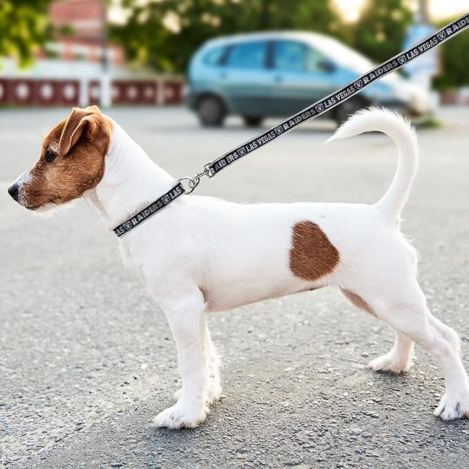 Pets First NFL Raiders Licensed PET COLLAR, Extra Large - Heavy-Duty, Strong, and Durable Dog Collar. Available in 31 Football Teams and 4 Sizes