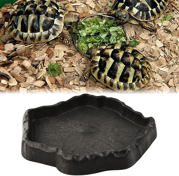 Reptile Water Dish, Reptile Feeding Dish Corner Bowl Breadworm Feeding Food Bowl, Terrarium Decor Bowls for Bearded Dragon Lizard Frog Leopard Gecko Tortoise Hermit Crab Chameleon (Small)