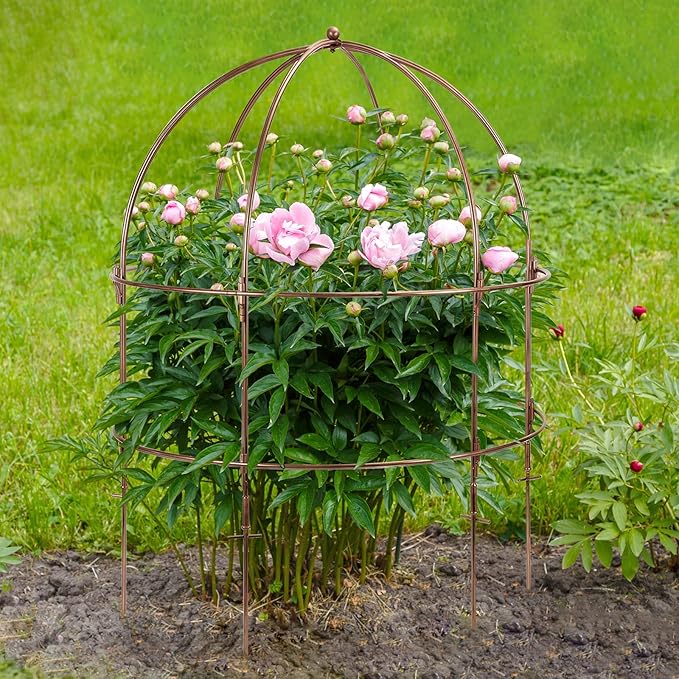 NNG 26 Inch Bird Cage Plant Support, Metal Grow Through Flower Trellis Cage with Dome Top, Garden Plant Support for Peonies Hydrangeas Tomatoes and Climbing Vines