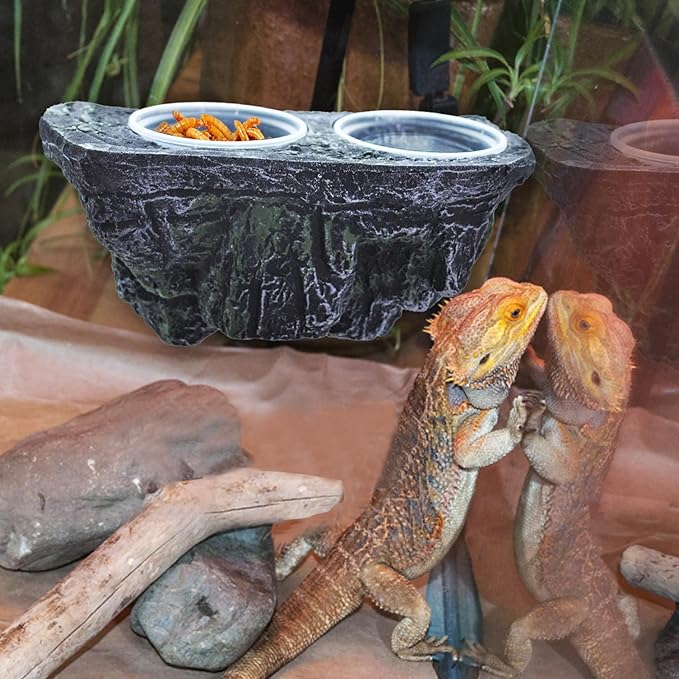 kathson Magnetic Reptile Feeder Ledge,Double Bowl Magnetic Lizard Food and Water Dish Crested Gecko Feeding Bowls with Suction Cup Reptile Food Bowl Accessories for Chameleon Spider