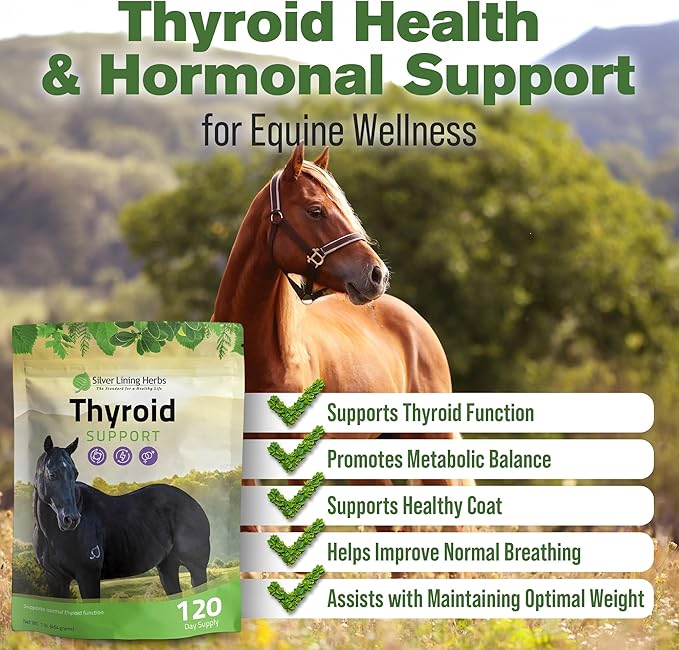 Silver Lining Herbs Thyroid Support for Horses – Herbal Horse Supplement for Normal Thyroid Function, Hormone Balance & Healthy Metabolism with Irish Moss, Kelp, Parsley – 120-Day Supply