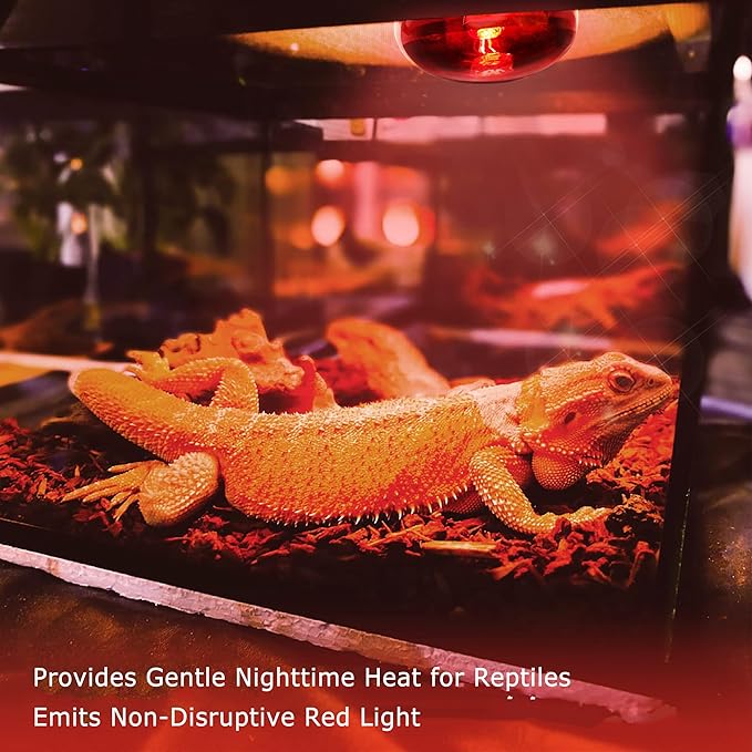 60W Infrared Red Heat Lamp for Reptiles, Basking Spot Bulb for Pet Lizards, Bearded Dragons, Chameleons & Snakes, Red Heat Emitter Light for Chickens Coop and Brooder Use, E26|2 Pack