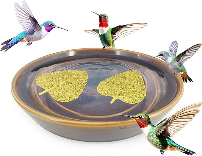RONDURE 2 pcs Bird Bath Purification Disk Copper 4 Inch Copper Disc for Bird Bath Water Cleaner Disk, All-Season Water Purifier (Copper-Coated)