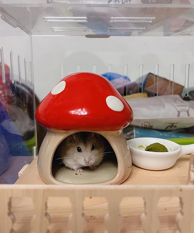 Ceramic Hamster Hideout - Small Animal Houses & Habitats for Mice, Gerbils, Lemmings or Other Small Pets - Accessories