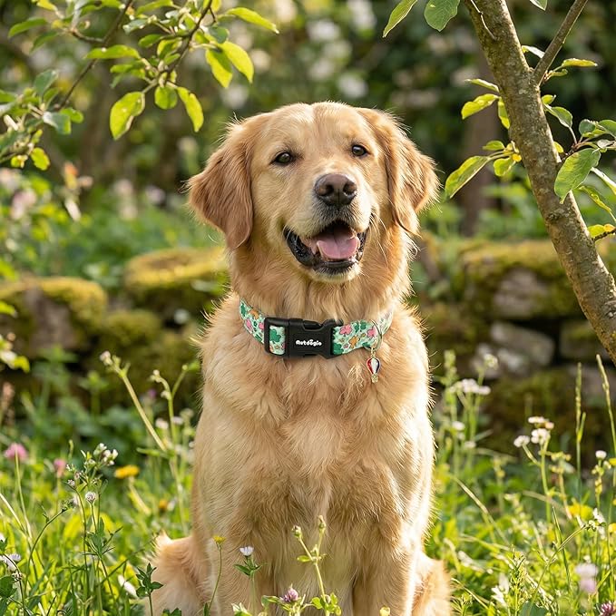 St. Patrick's Day Dog Collar,Puppy Collar with Lucky Shamrock Chequered Pattern,Adjustable Spring Cotton Collars Gifts for Small Medium Large Dogs,Dog Accessories M