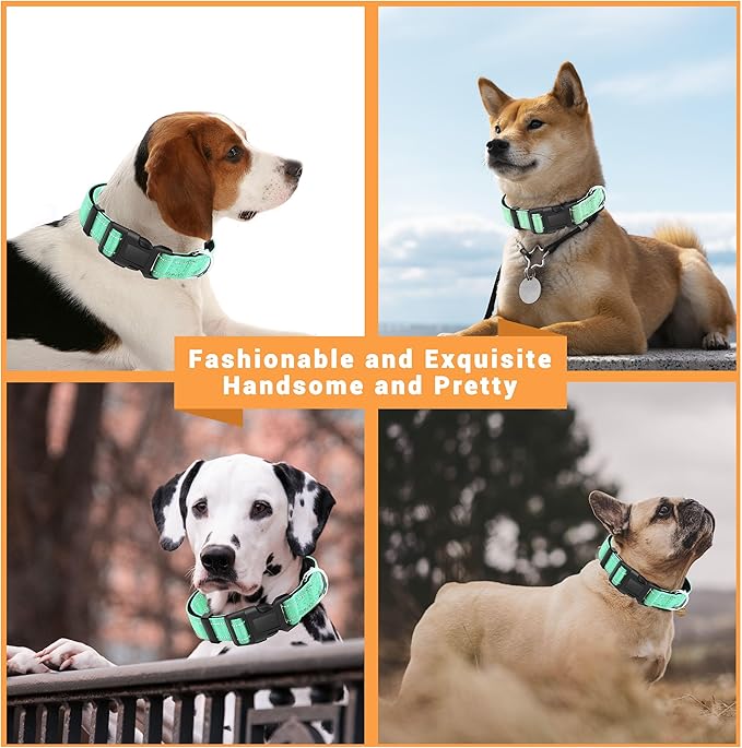 2 Pack Reflective Dog Collar with Safety Locking Buckle, Adjustable Soft Breathable Comfortable Nylon Pet Collar for Small, Medium and Large Dogs, Turquoise, L