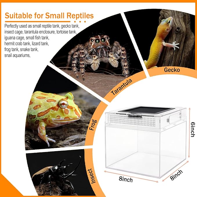 Reptile Terrarium, Jumping Spider Enclosure Starter Kit, Leopard Gecko Habitat Container, 8"x8"x7"Reptile Tank for Tarantula, Hermit Crab, Insect, Fish, Frog, Small Bearded Dragon, Lizard