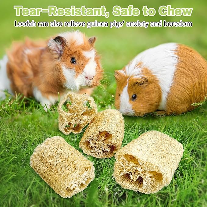 BNOSDM Bunny Chew Toys Natural Loofah 6PCS Bunny Teeth Grinding Toy Rabbit Fiber-Rich Treats Pet Entertainment Accessories for Rabbits Chinchillas Guinea Pig（XL）