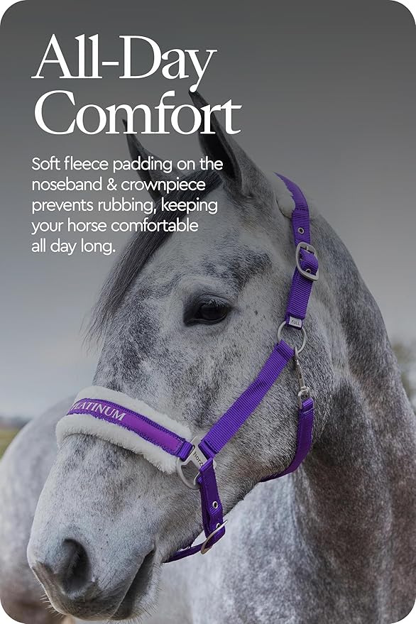 HORZE Howard Soft Fleece Padded Adjustable Polyester Horse Halter - Purple - Shetland