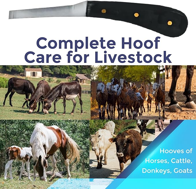 Regular Hoof Knife for Horses – Farrier Tool with Plastic Grip – Hoof Trimming Knife for Equine Care & Veterinary Use (Left Hand)
