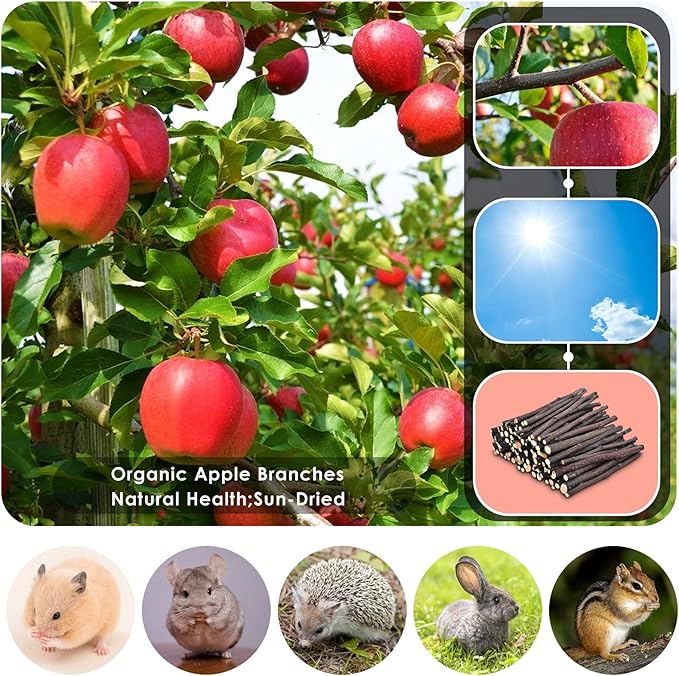 ERKOON Natural Apple Sticks 300g (10.5oz Small Animals Molar Chew Toys Apple Branch Chew Treats for Hamster Rabbit Chinchilla Bunny Guinea Pig Squirrel