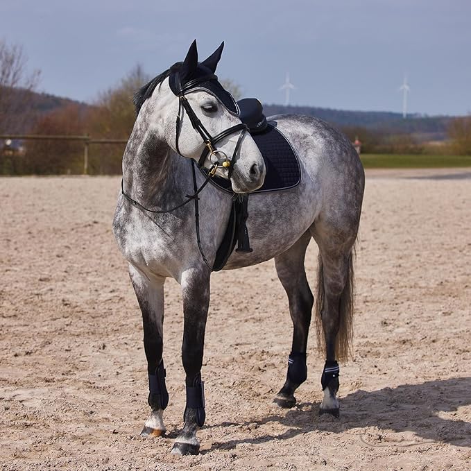 HORZE Adepto Open Front Tendon Boots | Durable Shell with Neoprene Lining - Dark Navy - Horse