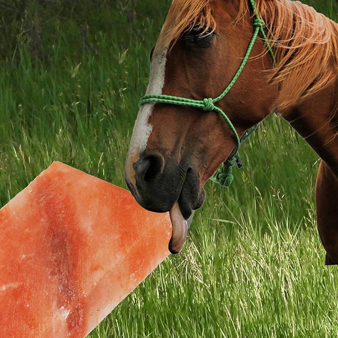 Himalayan Rectangle Horse Salt Lick Brick for Cattle, Goats, Cows and Other Livestock, 100% Natural Animal Salt Blocks for Deer Provide Minerals(1 Pcs | 8 x 4 x1 Inches)