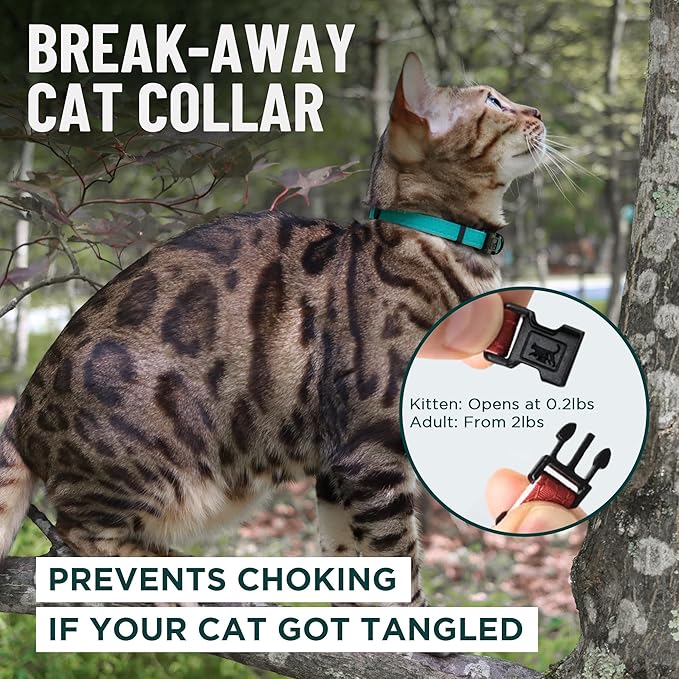 OutdoorBengal Pink Breakaway Kitten Collar - Ultra Safe Quick Release Cat Collar for Small Kittens Under 6 Months – Soft-Padded, Lightweight, Adjustable, Thin and Comfortable, No Bell (Pink, Kitten)