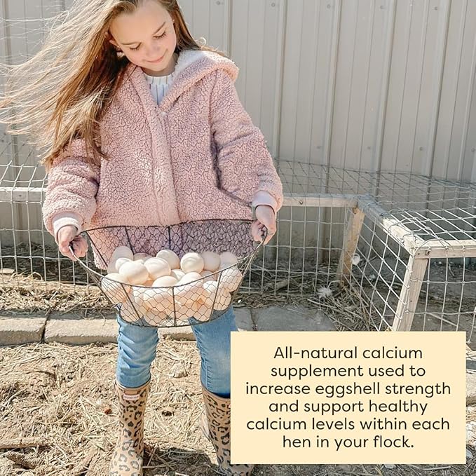Scratch and Peck Oyster Shell Supplement - 4 lb Bag - Natural Calcium Boost for Healthy Eggshells in Chickens and Ducks, Sustainably Sourced Pure Flaked Oyster Shell