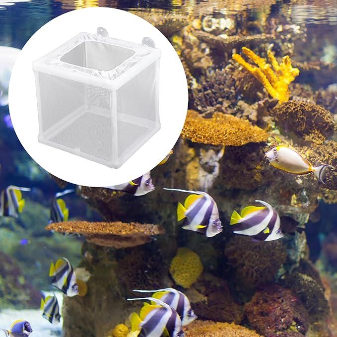 2 Pack Fish Incubator Mesh Box Aquarium, 6.3" x 5.51" x 5.91" Breeder Box for Fish Tank White Nylon Mesh Fishes Breeder Boxes for Aquarium Juvenile Fishes Separation Net Fry Hatchery with Suction Cups