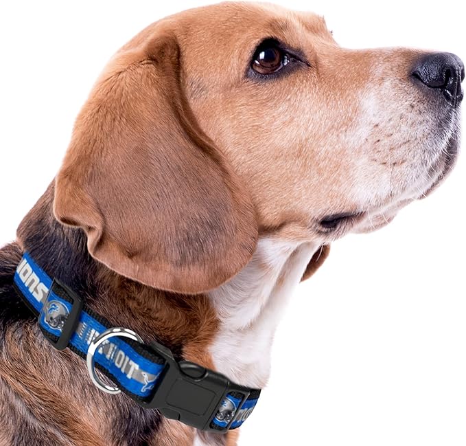 NFL Detroit Lions Dog & Cat Collar - Medium, Shiny & Colorful, Licensed by The NFL
