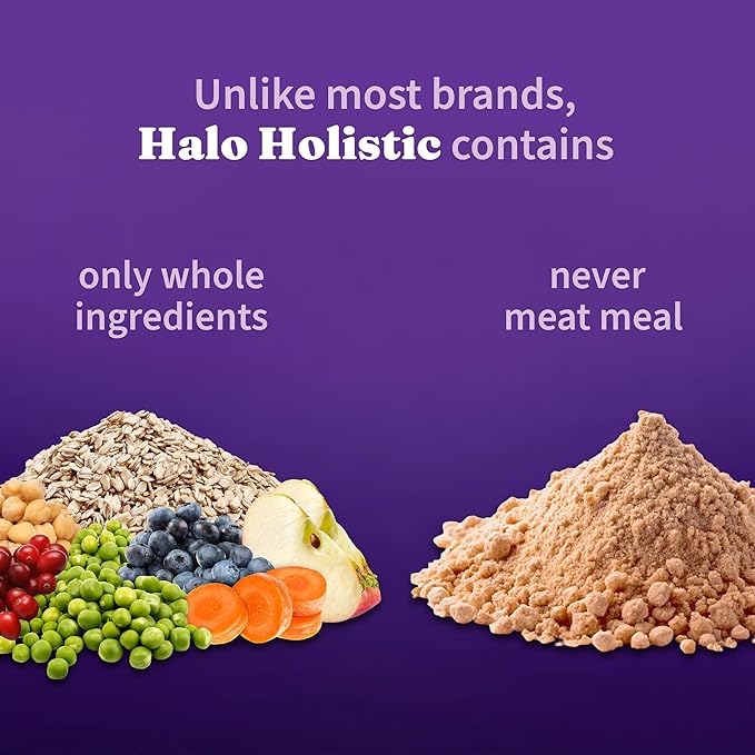 Halo Holistic Vegan Dog Food, Plant-Based Recipe with Kelp, Dry Dog Food, Complete Digestive Health, Kibble for Adult Dogs, 10 lb Bag