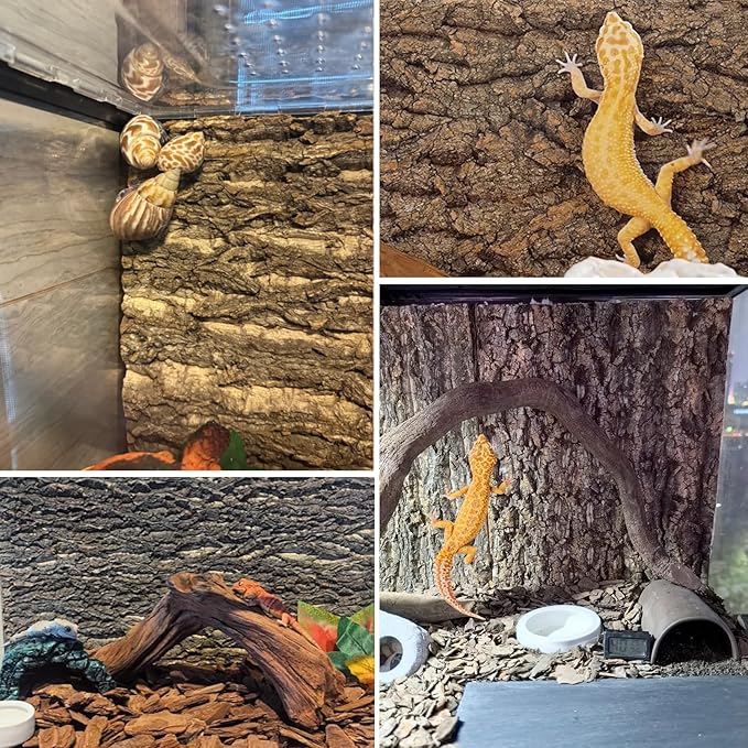 Hamiledyi Cork Terrarium Background 11.8x7.9in 6PCS Natural Reptile Cork Bark Flats Terrarium Board Bearded Dragon Climbing Wall Mat Tank Decor for Lizard Chamelon Snake Turtle Spider Crested Gecko