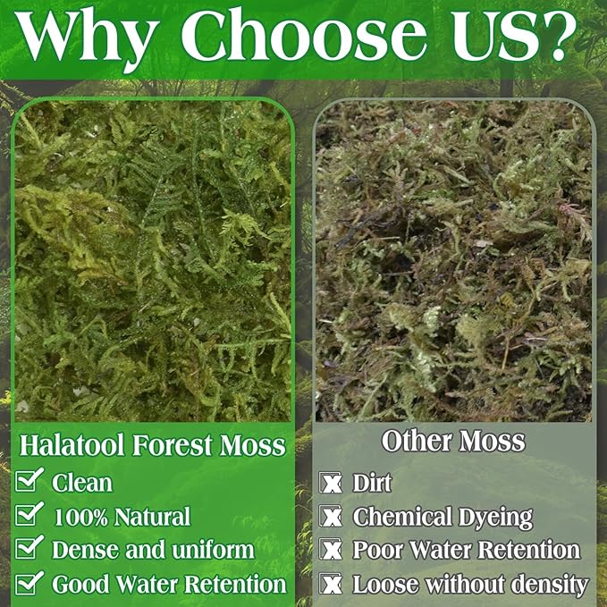 Halatool 9OZ Green Moss for Potted Plants, 12QT Orchid Moss Potting Mix, Forest Moss for Indoor Plants, Indoor Potting Plant Moss for Repotting Terrariums Garden Reptiles
