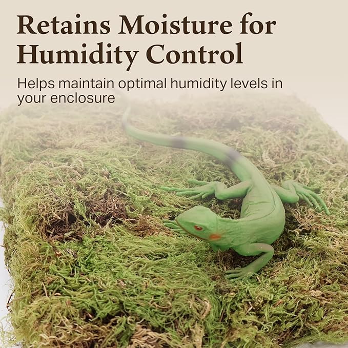 The Habitat Life - Natural Deco Moss - for Reptiles, Amphibians & Invertebrates Terrariums - Humidity Control - Natural Look & Feel - Soft Surface - Dye-Free & Safe - Medium - 1 Pack