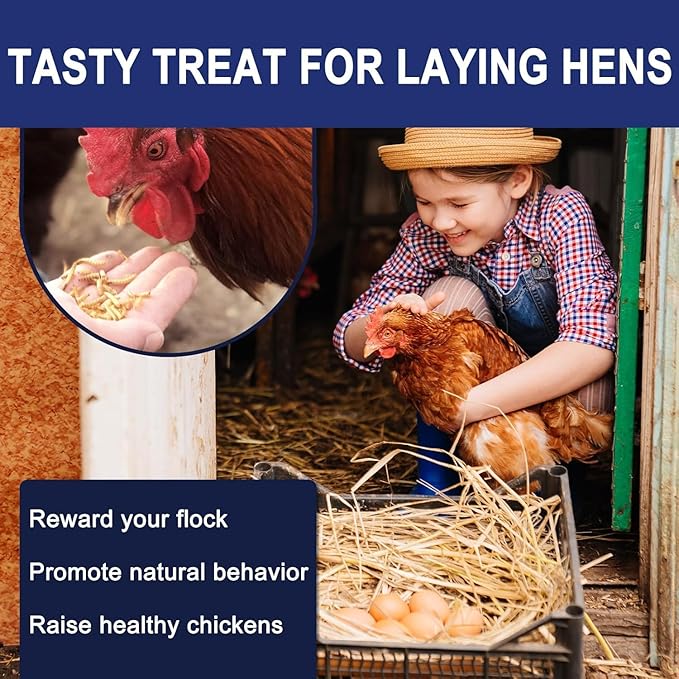 RANZ 8LBS Non-GMO Dried Mealworms for Chickens, High Protein Meal Worms, Premium Chicken Feed, Whole Large Mealworms for Blue Birds, Ducks, Fish