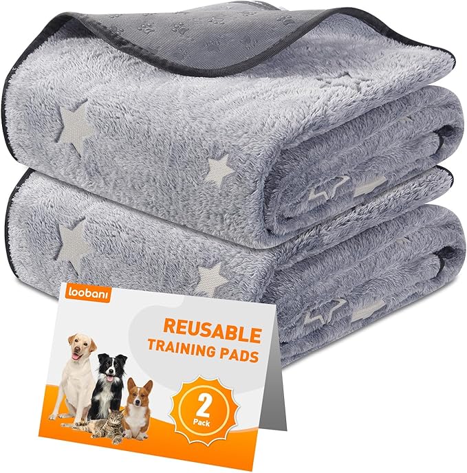 LOOBANI Washable Pee Pads for Dogs, Fast Absorption Reusable Puppy Pads, Waterproof Whelping Mats, Non Slip Training Pet Playpen Mat for Floor, Dog Crate, Grey 2 Pack 36 x 36 in