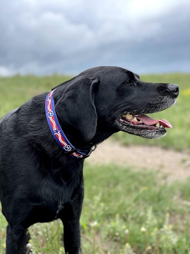 Native Pup American Flag Dog Collar- Red White and Blue- Patriotic Collars for 4th of July, USA- Adjustable Small, Medium, Large Breed Dogs (Small, Paws)