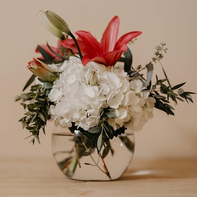 WGVI Bowl Glass Vase, Diameter 8", Height 6", Open Width 5", (Multiple Sizes Choices) Clear Bubble Planter Terrarium Fish Bowl for Wedding Event Home Decor, 1 Piece (VBW0008A)
