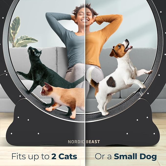 48'' XL Cat Wheel – Safe, Quiet & Stable Exercise Wheel for Large Indoor Cats up to 45 lbs – 15.7'' Extra-Wide Surface Fits 2 Cats Side by Side & Prevents Wobbling, 1-Year Warranty