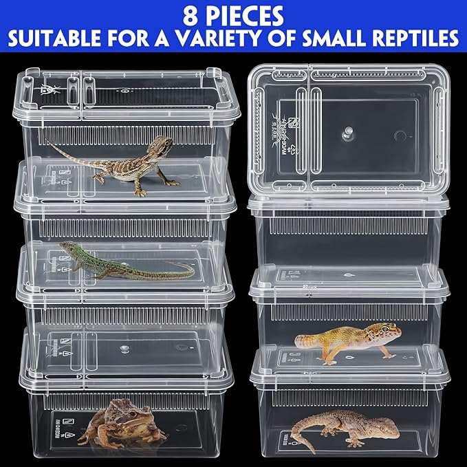 Irenare 8 Pcs Reptile Breeding Box Plastic Spider Terrarium Tarantula Feeding Box for Bearded Dragon Lizard Spider Gecko Scorpion(Vent Strips,Clear,5.9 x 3.9 x 2.5 Inch)