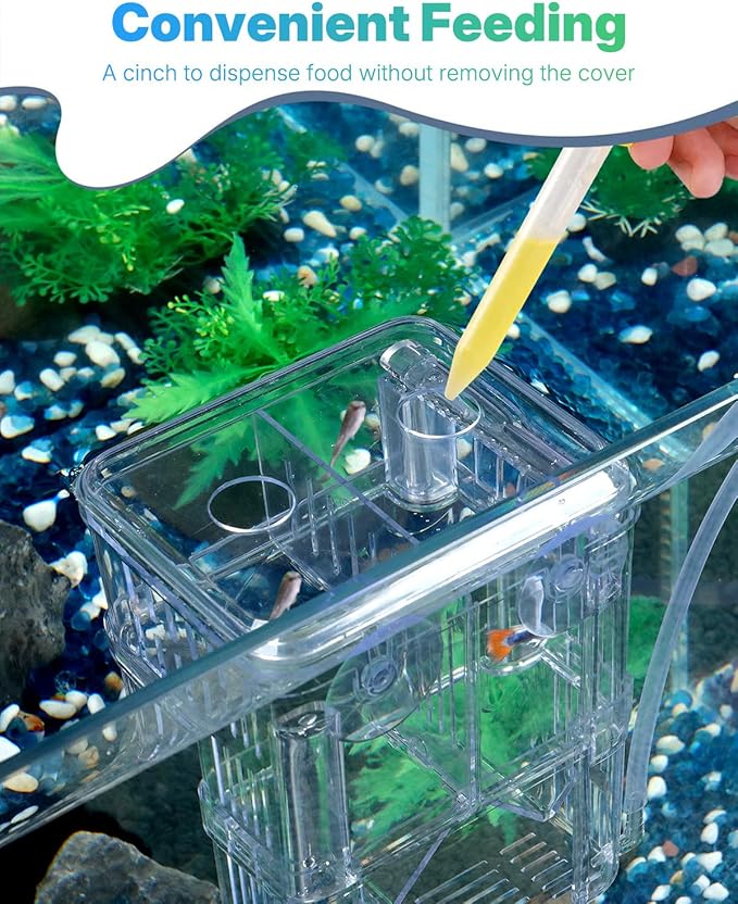 Pawfly Aquarium Breeder Box - Transparent Plastic, Incubator for Fish Fry, Hatchery & Isolation Box for Aggressive Fish & Shrimp