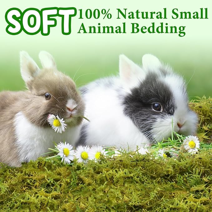 Halatool 12QT Small Animals Bedding & Nesting Material, Forest Moss for Odor Control Rabbits Squirrels Hamsters Guinea Pigs, Soft & Safe for Small Animals Cages Terrariums Reptiles Plants
