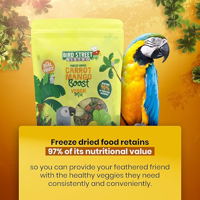Bird Street Bistro Parrot Food - Parakeet & Cockatiel Food - Cooks in 3-15 min with Natural & Organic Grains, Legumes, Non-GMO Fruits, Vegetables & Health Spices